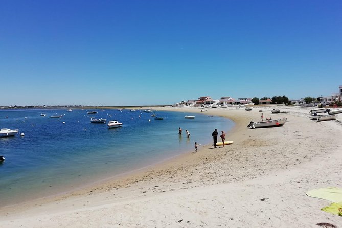 Olhao Authentic Tour: Market and Ria Formosa Natural Park - Who should book this tour (and who might skip it)
