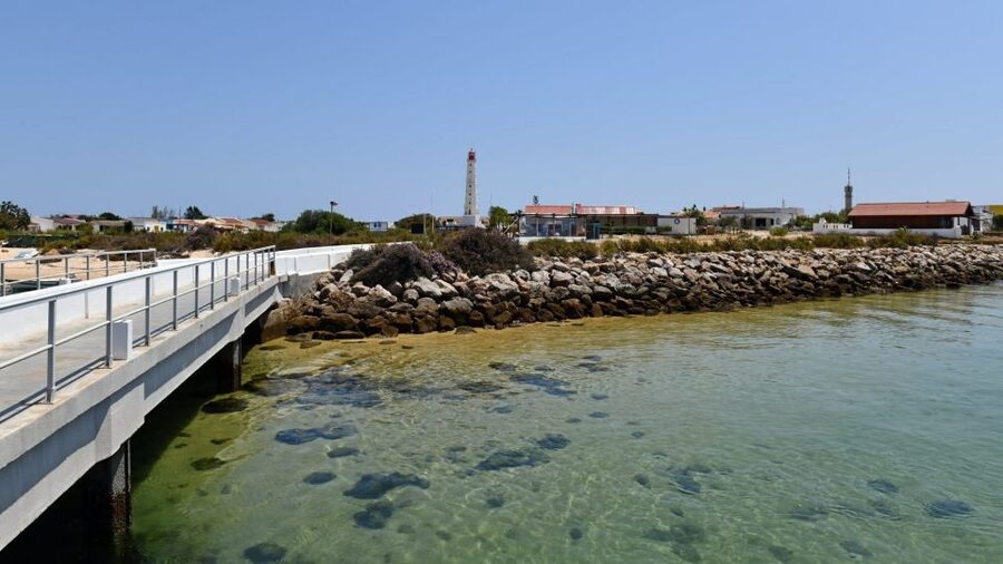 Olhão: Private Boat Tour to Ria Formosa - What the guide actually adds (and why it’s worth it)