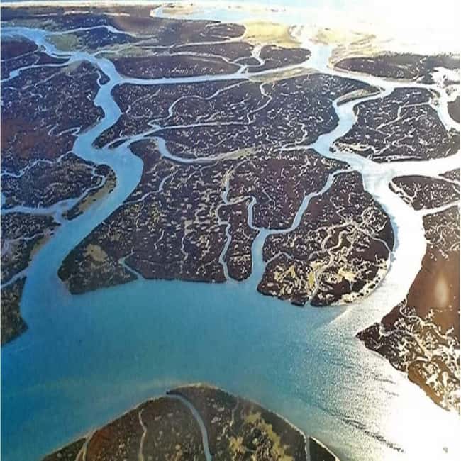 Olhão: Ria Formosa 2 Islands Boat Tour - Price and value: what $34 gets you (and what it doesn’t)