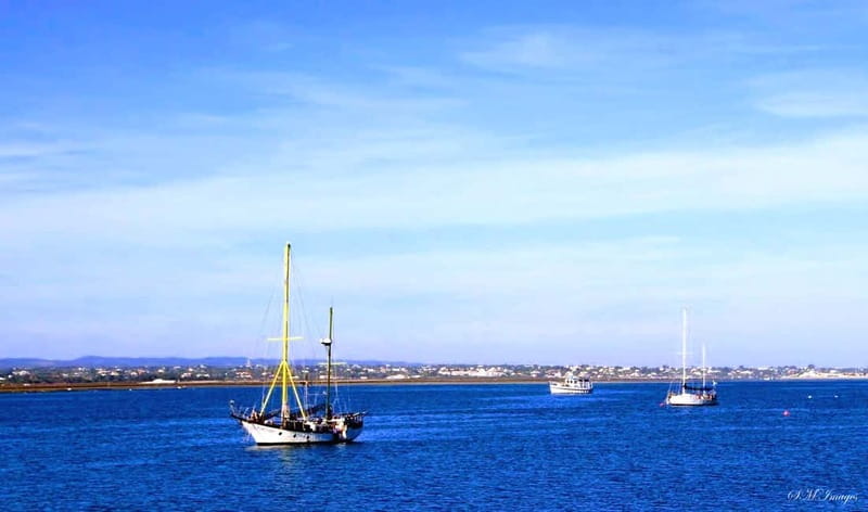 Olhão: Ria Formosa 3 Islands Guided Day Trip by Boat - Comfort, packing, and small rules that matter