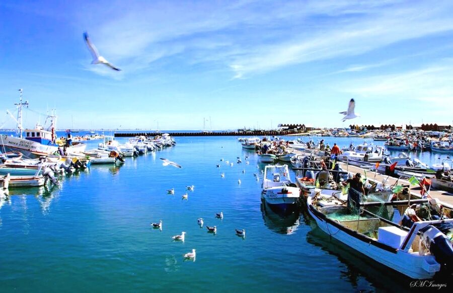 Olhão: Ria Formosa 3 Islands Guided Day Trip by Boat - Bird spotting and binoculars: when the tide makes the show