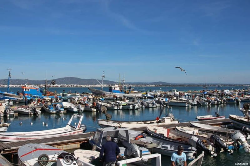 Olhão: Ria Formosa 3 Islands Guided Day Trip by Boat - Sunset options: choosing the right departure for your pace