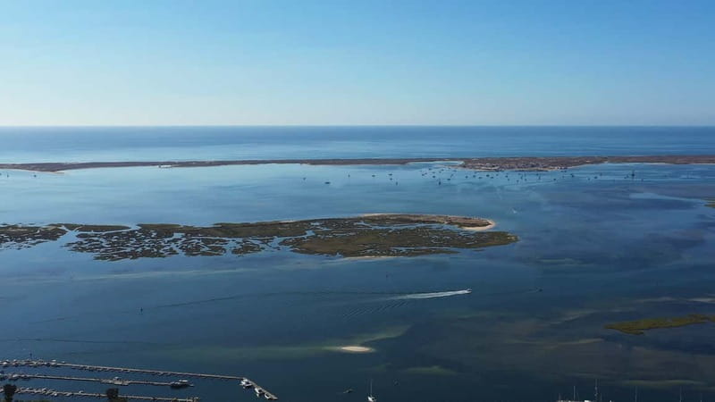 Olhão: Ria Formosa National Park Boat Cruise - Key things that make this cruise worth your time