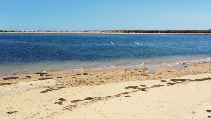Olhão: Ria Formosa National Park Boat Cruise - Stop 1 and the first channel ride: River boat time and park views