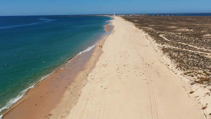 Olhão: Ria Formosa National Park Boat Cruise - Armona Island or the Desert beach: your break for sea air and photos