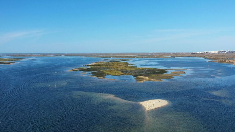 Olhão: Ria Formosa National Park Boat Cruise - Culatra Island: the working-island feel with time to explore
