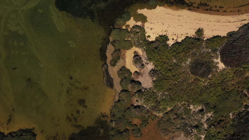 Olhão: Ria Formosa National Park Boat Cruise - Your captain’s history talk: how it makes the scenery click
