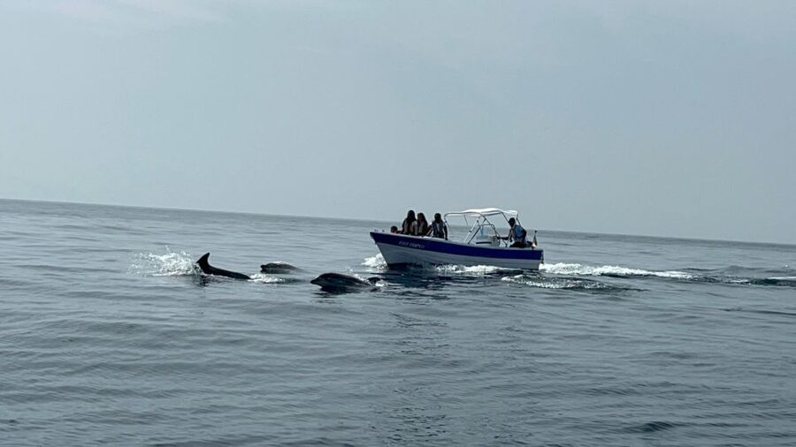 Olhão- Safari Watching Dolphins and other species - Meet your crew energy: names you might hear on board