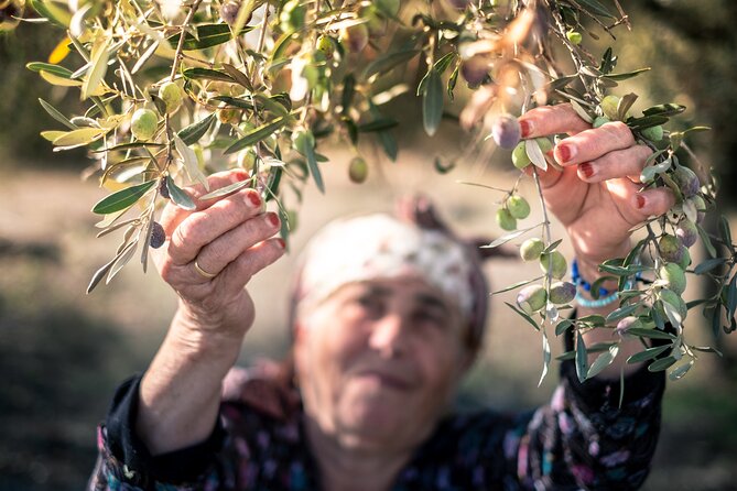 Olive Oil Private Tour in Portugal - Who This Tour Fits Best (and Who Might Want Something Else)