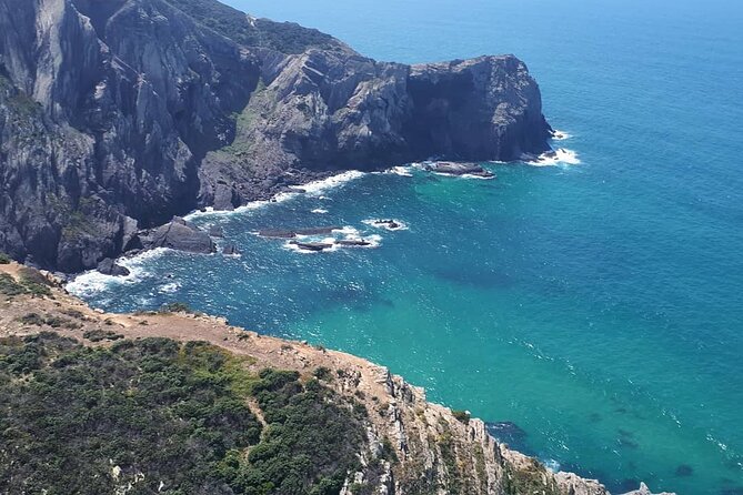 Paragliding Algarve Experience - In the air over the Algarve coast: freedom, but with a plan