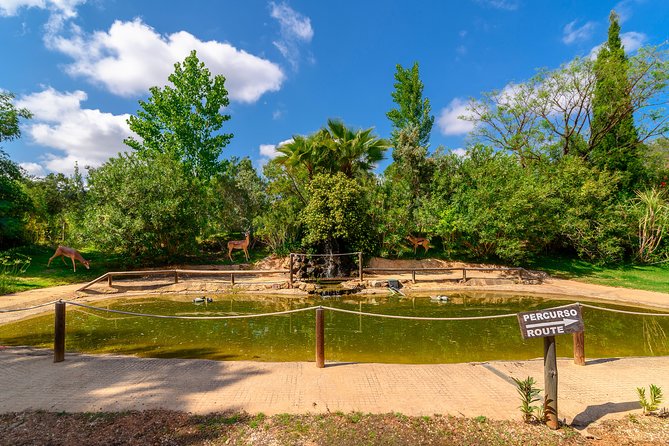 Parque da Mina Entrance Ticket - Gazebo views, suspension bridges, and the waterfall crossing