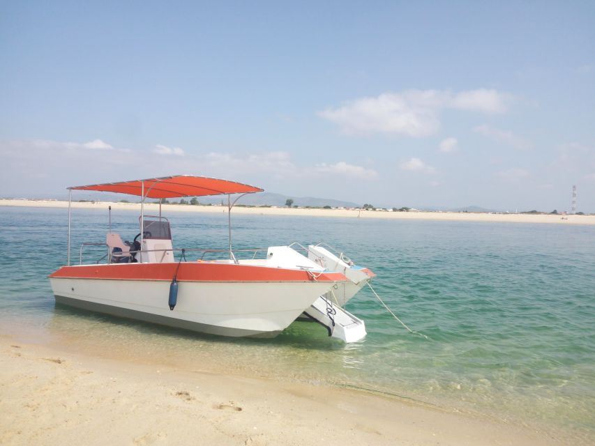 Passeio Barco na Ria Formosa 5H - Price and logistics: does $45 make sense for your day?