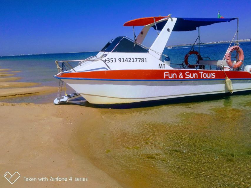 Passeio Barco na Ria Formosa 5H - Who should book this Ria Formosa boat tour?