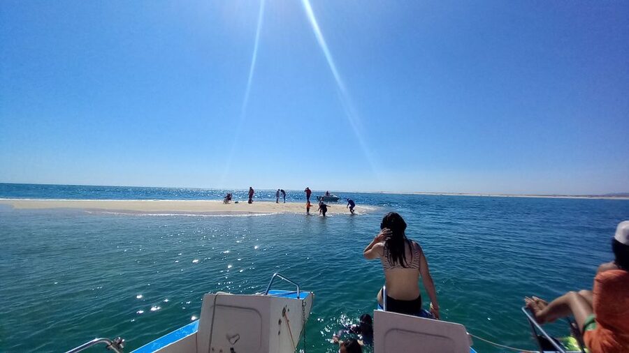 Passeio de barco na Ria Formosa 3H - Key highlights to look for on this Ria Formosa cruise