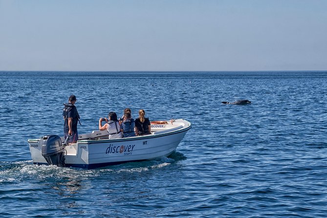 Ponta da Piedade Boat Tour to Caves and Beaches with Local Guide - Beaches and cliffs you pass on the way: Batata to Porto de Mós
