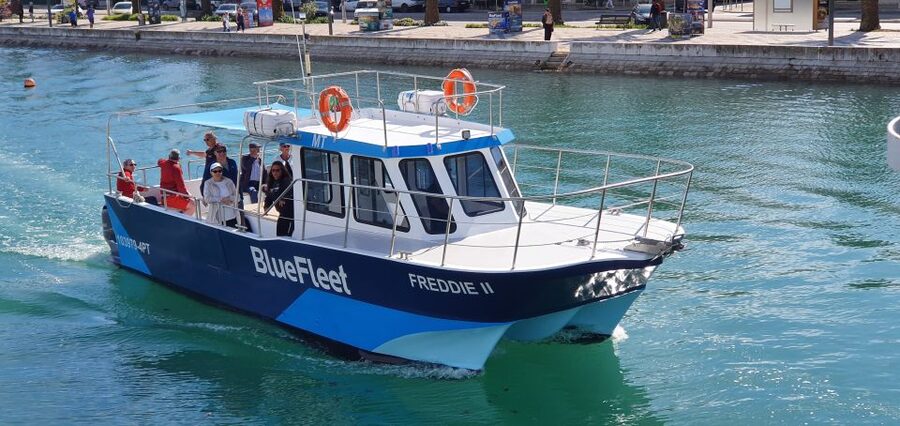 Ponta da Piedade: Half-Day Cruise with Lunch from Lagos - Cruising Past the Cliffs: The Sights That Make This Route Special