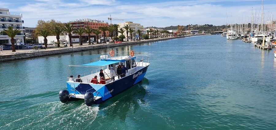 Ponta da Piedade: Half-Day Cruise with Lunch from Lagos - What to Pack (and What to Leave Behind)