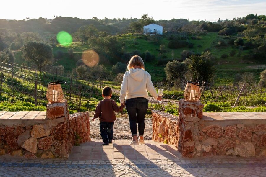 Porches: Algarve Vineyard Tour and Wine Tasting Experience - Quick checklist before you go
