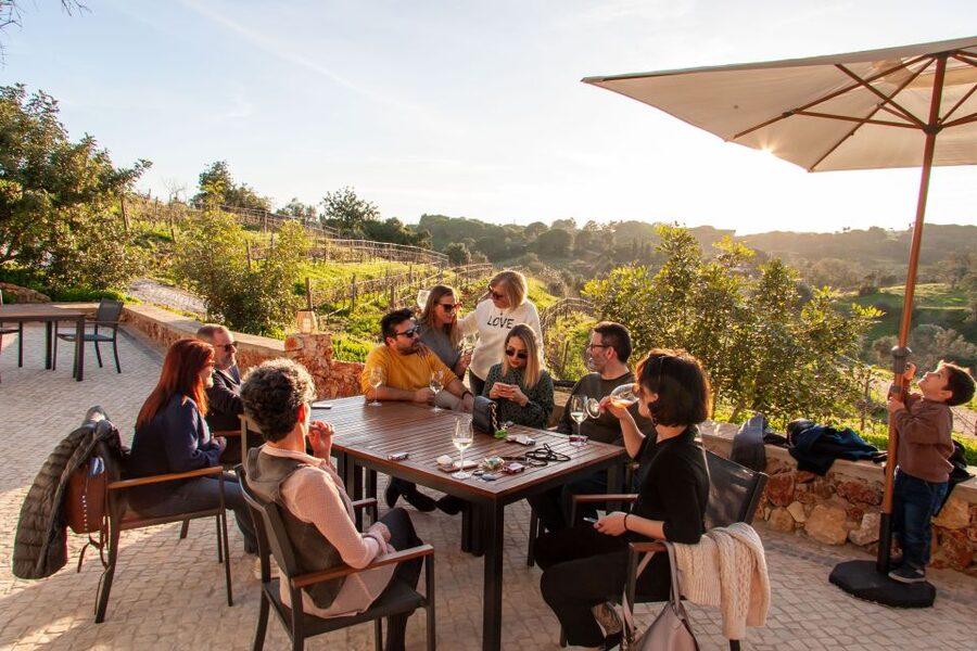 Porches: Algarve Vineyard Tour and Wine Tasting Experience - The 1.5-Hour Flow: Wine Bar Tastings First, Then a Scenic Walk
