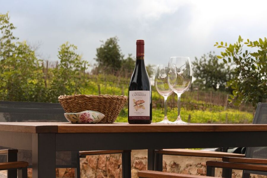 Porches: Algarve Vineyard Tour and Wine Tasting Experience - Guides Who Teach Without Making It Awkward