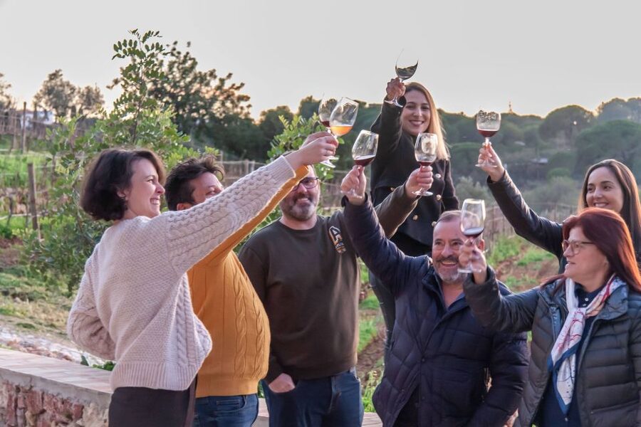 Porches: Algarve Vineyard Tour and Wine Tasting Experience - The Vineyard Walk and Photo Stops: Scenery with a Purpose