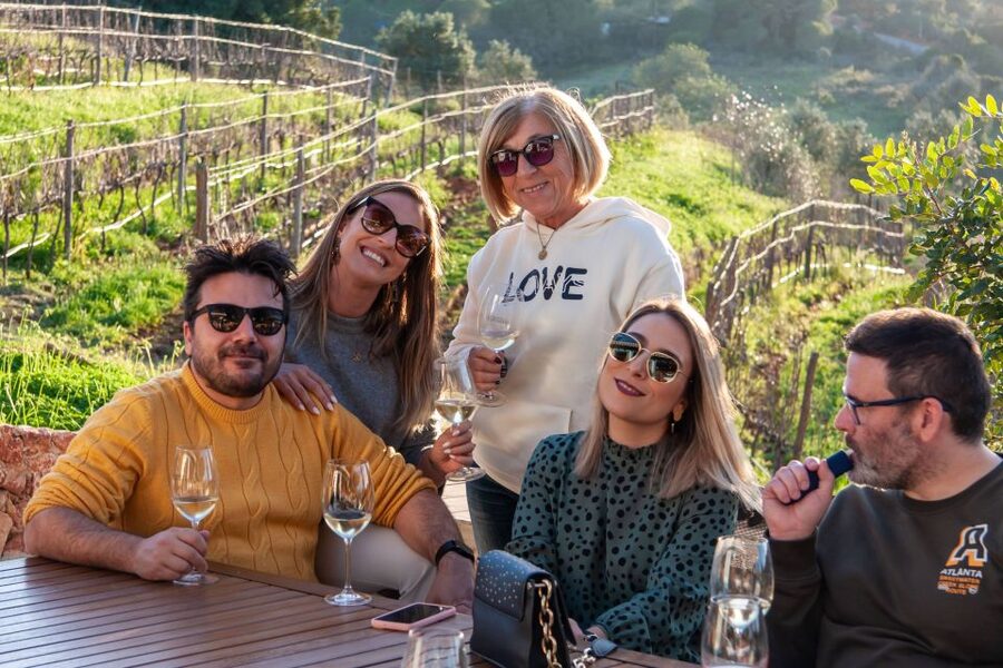 Porches: Algarve Vineyard Tour and Wine Tasting Experience - Price and Value: Is $91 Worth It?