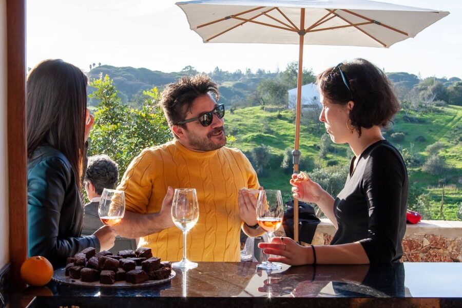 Porches: Algarve Vineyard Tour and Wine Tasting Experience - Who This Tour Fits Best (and Who Should Skip It)