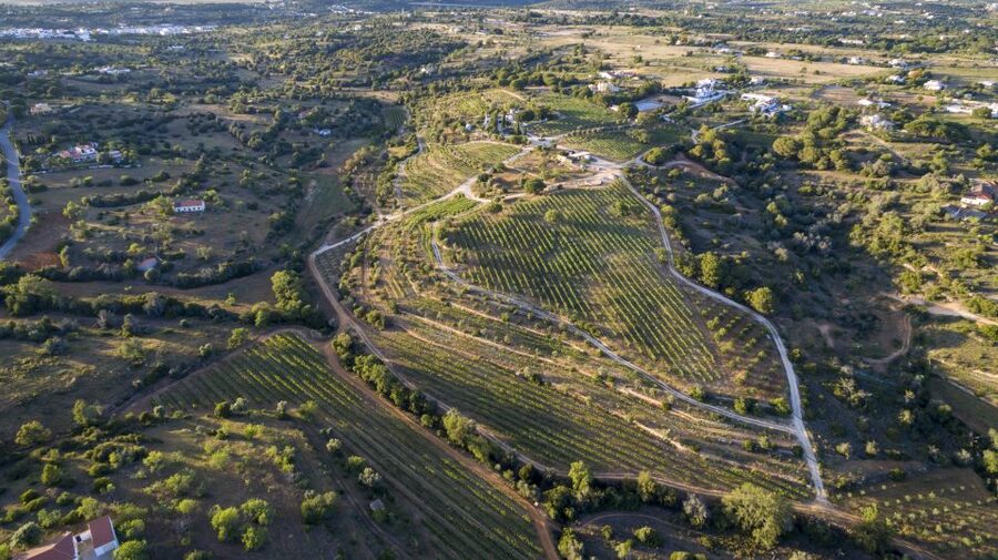 Porches: Algarve Vineyard Tour and Wine Tasting Experience - Getting There Smoothly: Your Car, Their Gate, and a Simple Meeting Point
