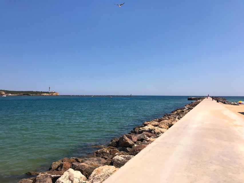 Portimão: 1.25-Hour Segway Tour - Key Highlights You’ll Care About