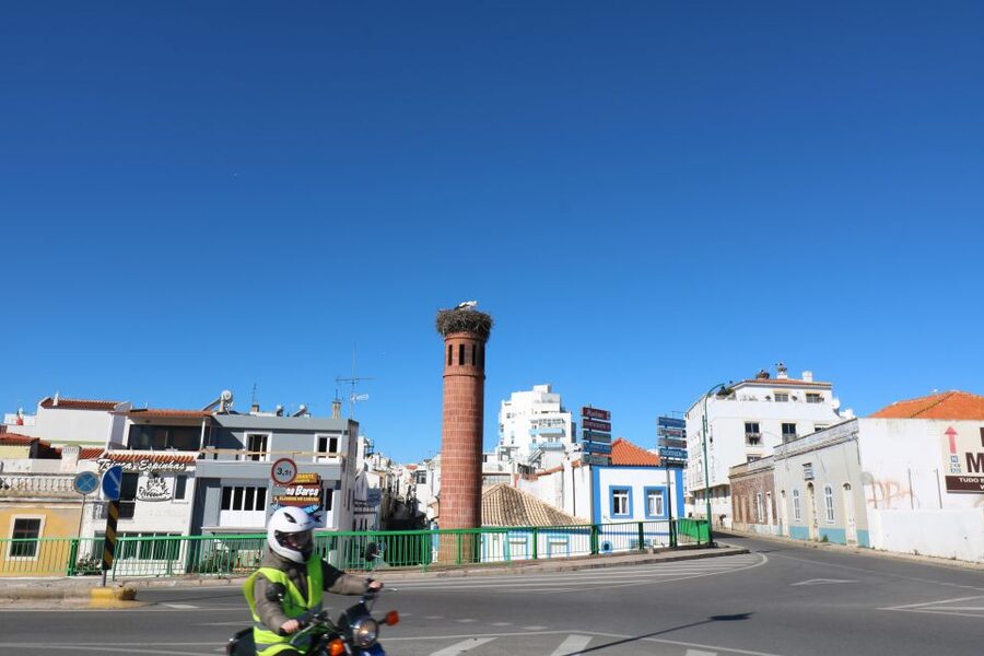 Portimão: 3-Hour Food and Historical Center Tour - Quick practical tips before you go