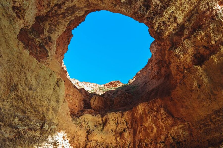 Portimão: Benagil Caves & Dolphins Watching with Biologist - The Big Picture: Dolphin Odds Plus Real Science Talk