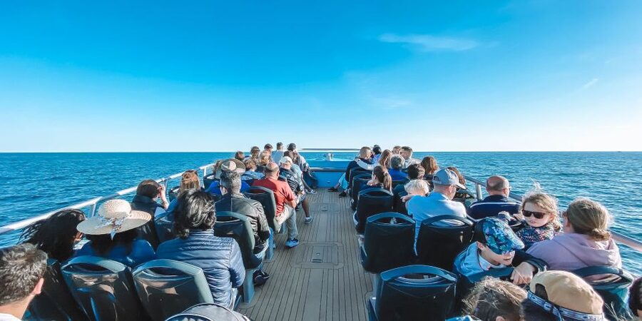 Portimão: Benagil Caves & Dolphins Watching with Biologist - Key Points Worth Planning Around