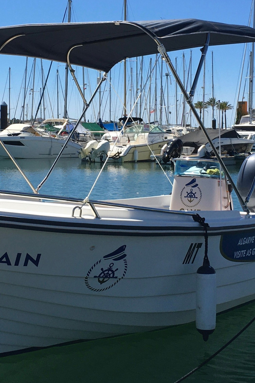 Portimão: Caves, Benagil and Algarve Coastline Boat Tour - Snorkeling Adventure: What You Need and What You’ll Be Looking For