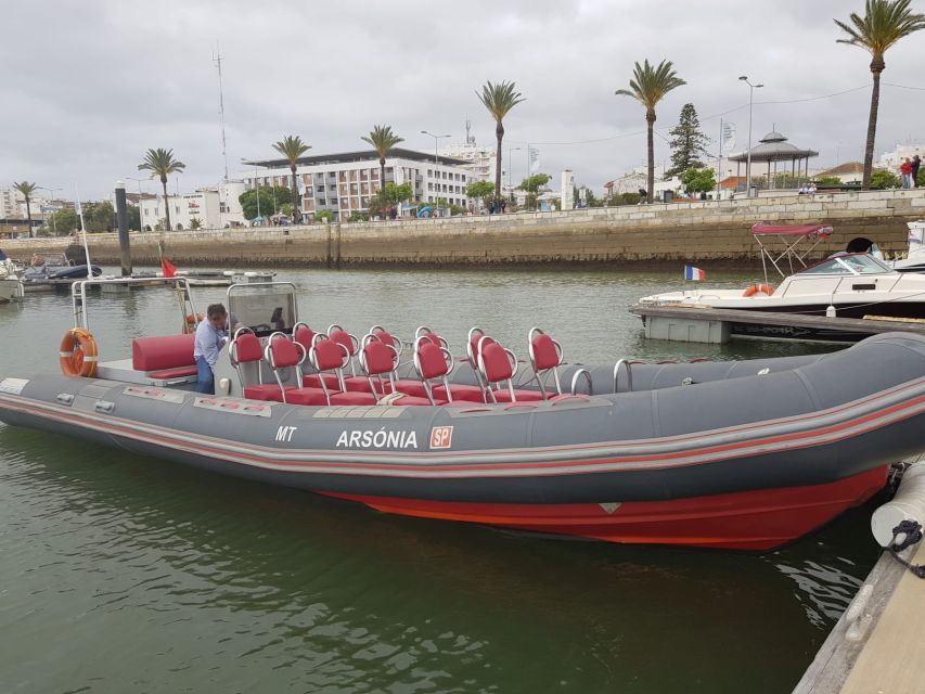 Portimão: Dophin Watching on the Algarve Coast - A Fair Reality Check Before You Go