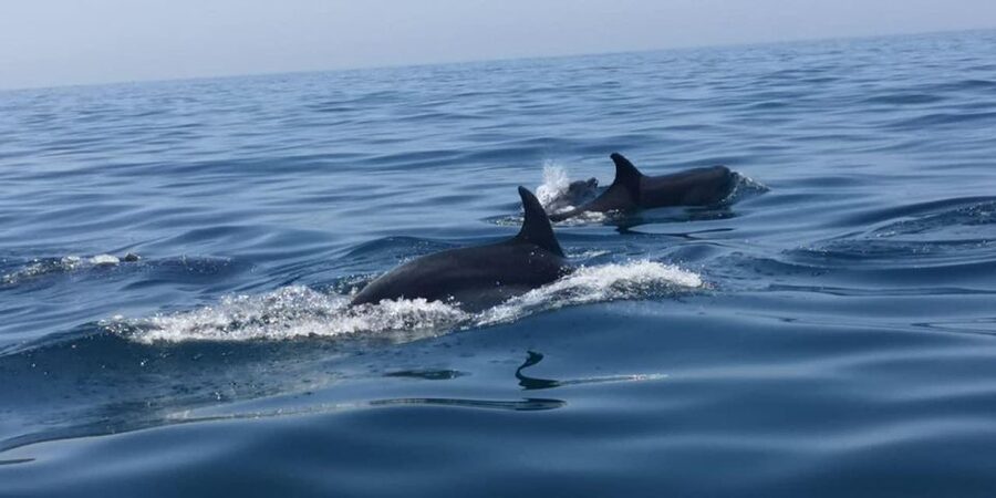 Portimão: Family Gathering - The Ride to Praia da Marinha: 30+ Caves Along the Algarve Coast