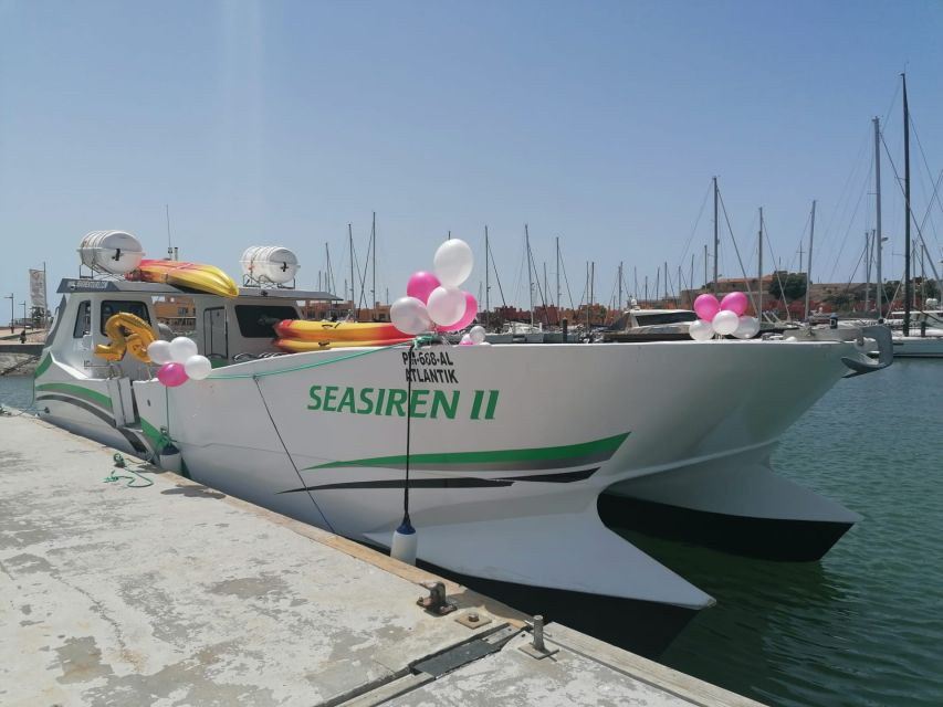 Portimão: Private Benagil Caves Catamaran and Kayak Tour - A catamaran plus kayak rhythm along the Algarve coast