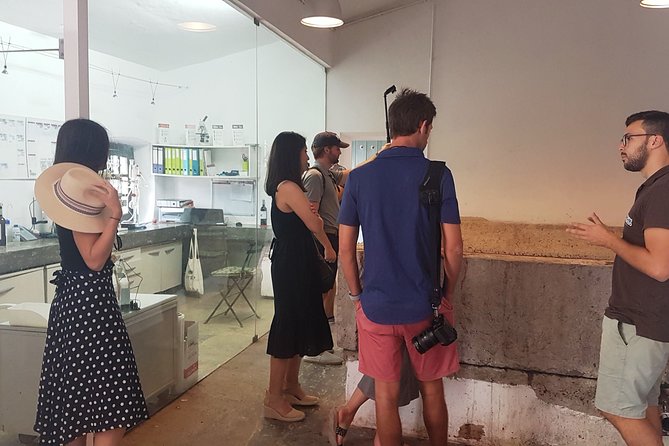 Private Algarve Wines Route - Pickup and car time: the logistics that shape your mood