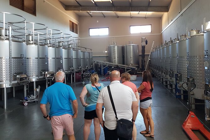 Private Algarve Wines Route - Wine country details that are worth noticing