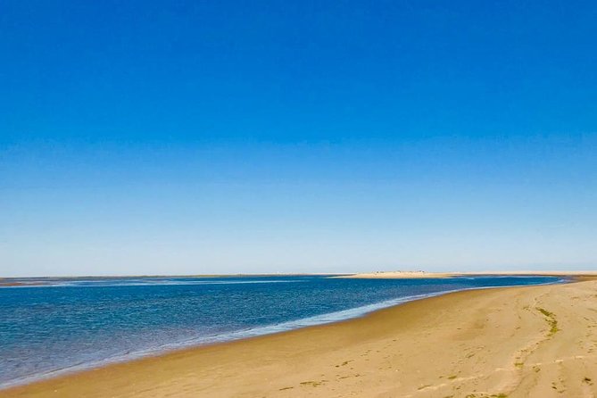 Private Catamaran Boat Tour - Ria Formosa - Price and Value: What $831.30 Per Group Really Means
