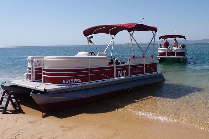 Private Ria Formosa Natural Park Boat Cruise from Faro - Accessibility for most travelers, but check the practical limits