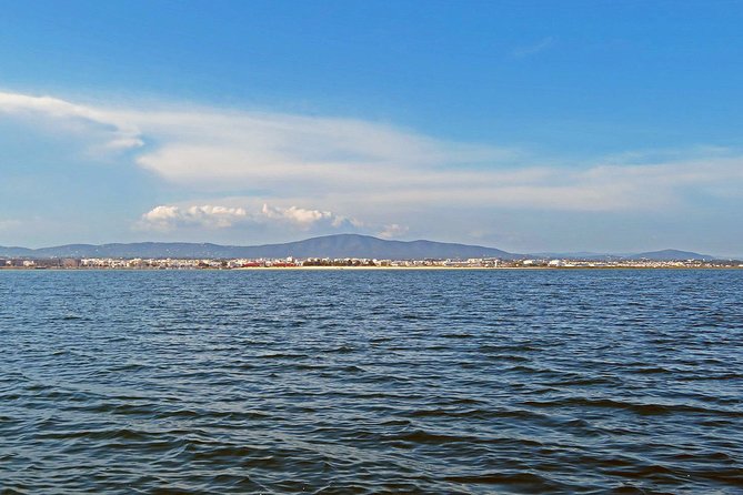 Private Sightseeing Boat Tour in Ria Formosa at Olhão - Morning or afternoon departures: choosing what fits your day