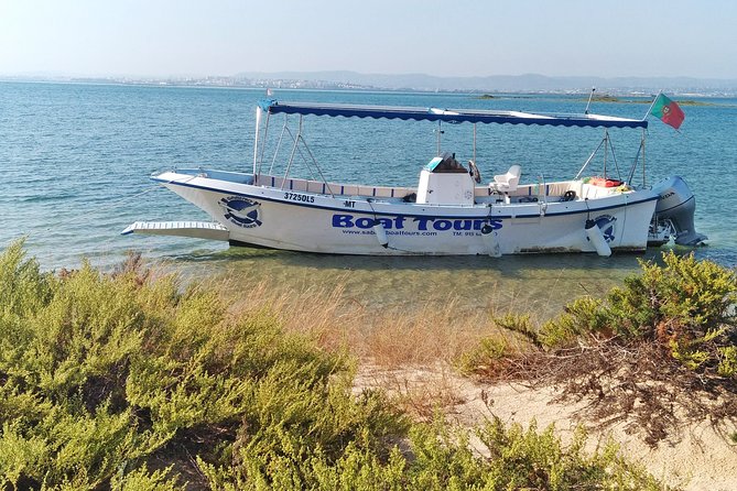Private Sightseeing Boat Tour in Ria Formosa at Olhão - Stop 3: Ilha da Culatra and the year-round fisherman village