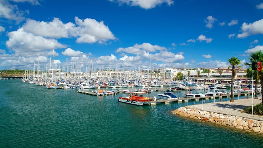 Private Tour Algarve Premium - Lagos Marina and the Historic Center: Warming Up the Coast