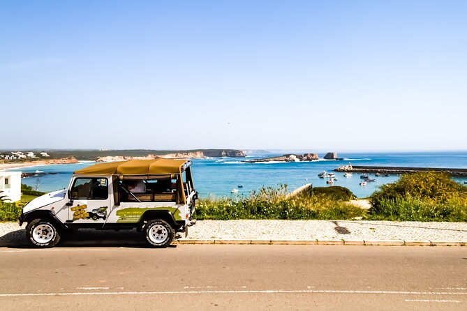 Private Tour to Sagres (Half Day) - Stop 2: Optional Sagres Fortress and countryside panorama (paid entrance)