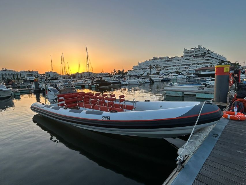 Quarteira: Algarve Coast, Caves and Dolphin Watching Cruise - Algarve Dolphins and Caves: why this 2-hour cruise works