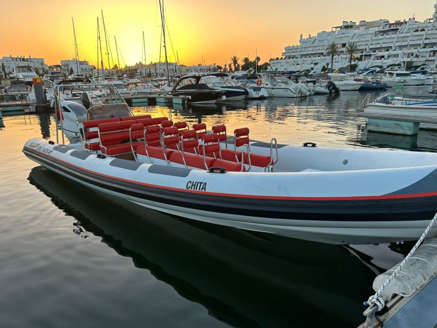 Quarteira: Algarve Coast, Caves and Dolphin Watching Cruise - Caves, cliffs, beaches, and birds: what you’ll actually see