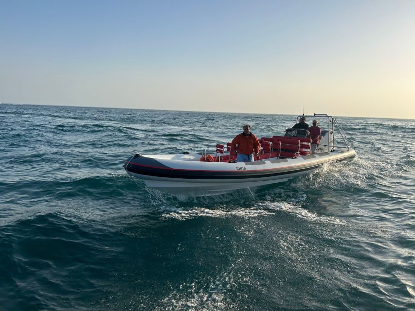 Quarteira: Algarve Coast, Caves and Dolphin Watching Cruise - Price and value: is $51 per person worth it?