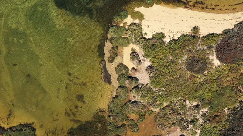 Ria Formosa: Armona and Culatra Islands 3-Hour Boat Tour - Key highlights to know before you go