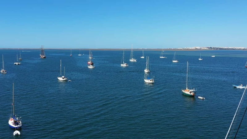 Ria Formosa: Armona and Culatra Islands 3-Hour Boat Tour - Why Ria Formosa feels different from a beach day