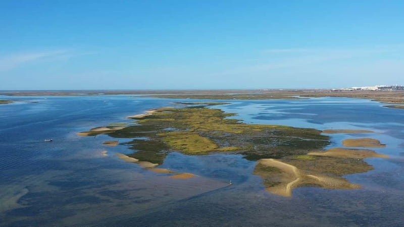 Ria Formosa: Armona and Culatra Islands 3-Hour Boat Tour - Culatra Island: no cars, local life, and a lot of photo opportunities